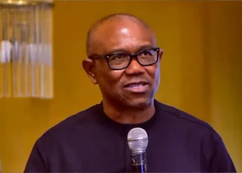 Nigeria’s hunger, poverty crisis beyond statistics- Dr Peter Obi