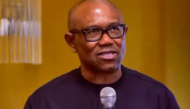 Nigeria’s hunger, poverty crisis beyond statistics- Dr Peter Obi