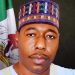 Zulum’s ₦100 billion Security spend