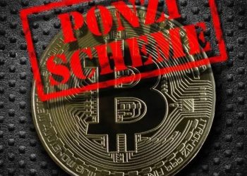 The Menace of Ponzi Schemes: What Regulatory Authorities Should do