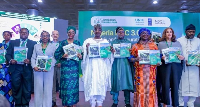 Nigeria Inaugurates Interministerial Committee to Coordinate Climate Action